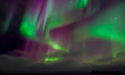 Northern Lights