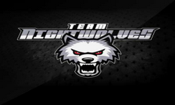 Team_Night_Wolves_Esports