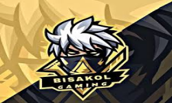 Bisakol Gaming