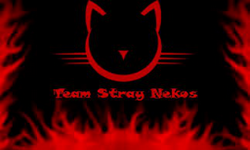Team Stray Nekos