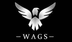 the wags gaming