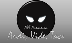AVT Assassins