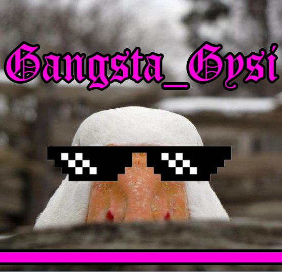 Gangsta_Gysi