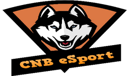 CNB eSport