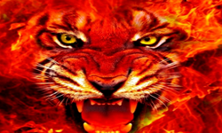 Bloody tigers Gl