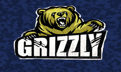 Grizzly Gaming