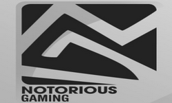 Notorious Gaming