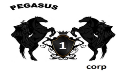 PEGASUS CORP