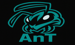 ANT