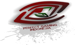 Perfect Gaming Indonesia