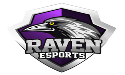 Raven Gaming