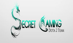 Secret Gaming