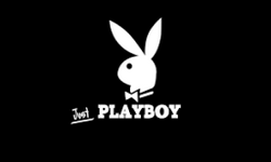 THE PLAYBOY Gaming