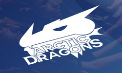 Arctic Dragons Gaming