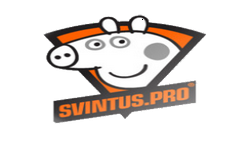 Svintus.pro