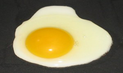 eGG