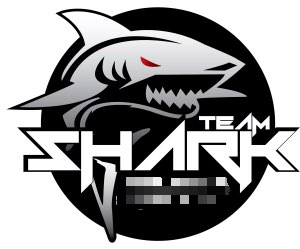 Team  Shark
