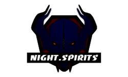 NIGHT.SPIRITS