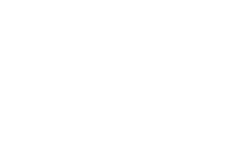 IRREGULARS