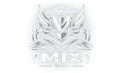MIX TEAM