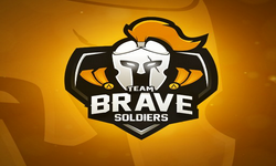 TEAM BRAVE SOLDIERS E-SPORTS