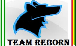 Team Reborn