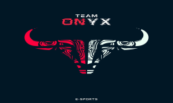 ONYX Team