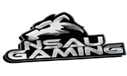 NSAU.Gaming