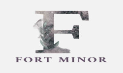 Fort Minor