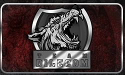 Team DileCom