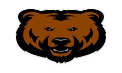 Team Bears