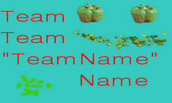 Team Team "Team Name" Name