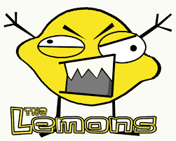 Team LemonS