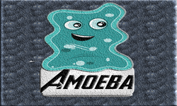 Amoeba