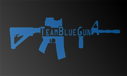 TeamBlueGun