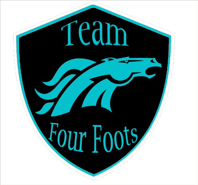 Team Four Foots