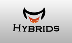Team Hybrids