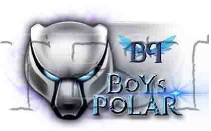 Boys Polar