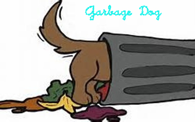 garbage dog