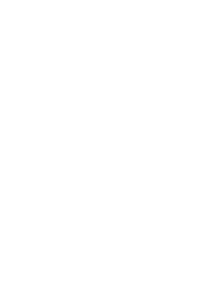 TEAM FEVER