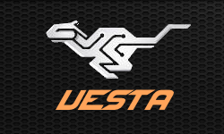 TeamVesta