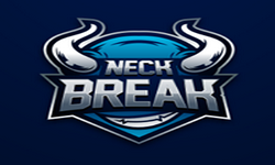 NECH BREAK