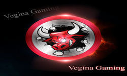 Vegina Gaming