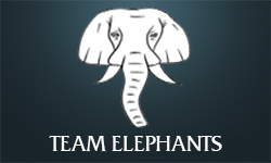 Team Elephants