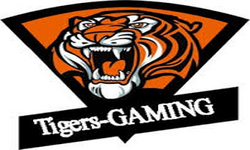 TIGER-GAMING