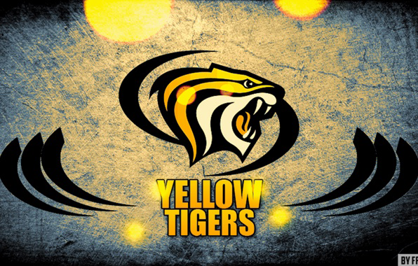 YELLOW TIGERS