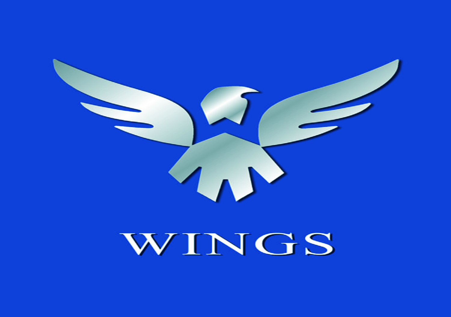 Wings Blue Gaming