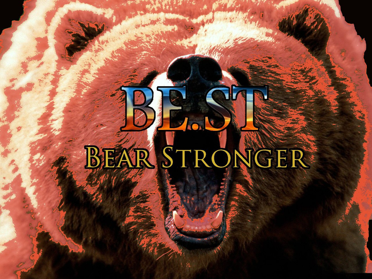 BEAR STRONGER