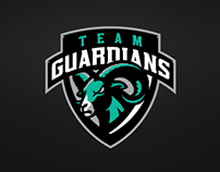 Team Guardians