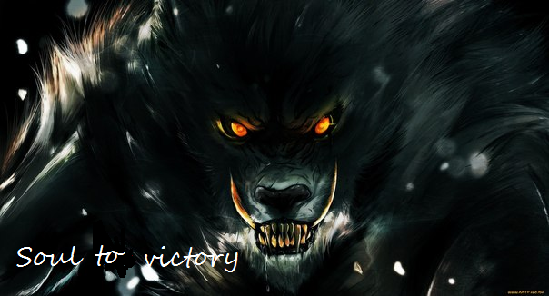 Soul to Victory Team